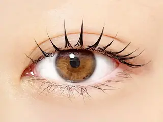 マツエク・マツパ eight eyelash池袋店のマツエク・マツパデザイン