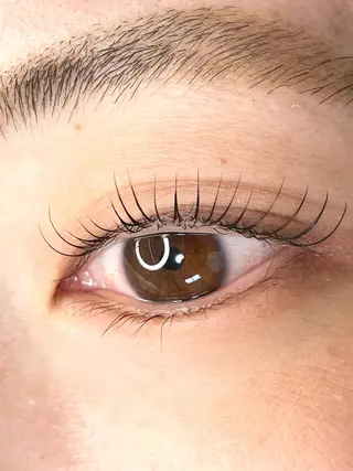 マツエク・マツパ プル eyelashのマツエク・マツパデザイン