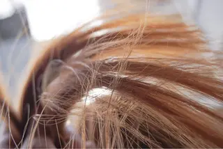 ミディアム パーマ current所属・✨カット美容師 💡高橋優也💡のヘアスタイル