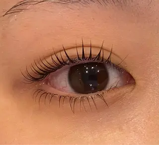 マツエク・マツパ Daisy lash 京橋店堀井のマツエク・マツパデザイン