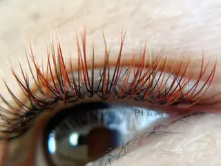 マツエク・マツパ Plume micoのマツエク・マツパデザイン