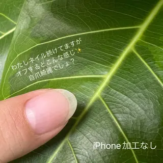 ネイル gemme NAIL&EYELASH所属・gemme🌿‬ YUIのマツエク・マツパデザイン