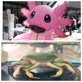 千の樹所属・久保・女性専用 美咲のエステ・リラクイメージ