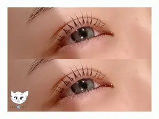 マツエク・マツパ ME-ME所属・ME-ME Chihiroのマツエク・マツパデザイン