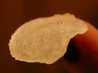 メンズ キッズ ネイル Fu 辻堂店のネイルデザイン