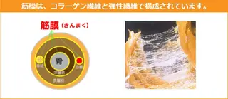 筋膜リリース専門サロン パラ・ディ所属・パラ・ ディのエステ・リラクイメージ