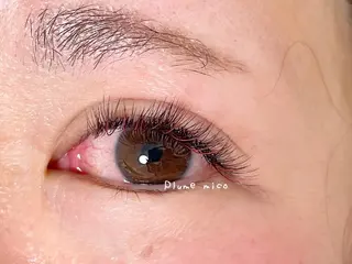 マツエク・マツパ Plume micoのマツエク・マツパデザイン