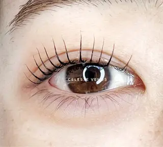 マツエク・マツパ Celeste Venus所属・🧸Celeste Venusのマツエク・マツパデザイン