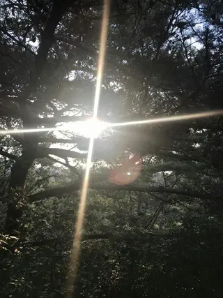 g*rossa高橋 くみこのエステ・リラクイメージ