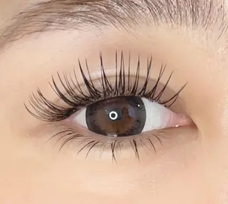 マツエク・マツパ 《eyelash ｉｉｔｅ》森のマツエク・マツパデザイン