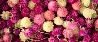 美容矯正 ＱＵＩＣＯ【キコ】のエステ・リラクイメージ