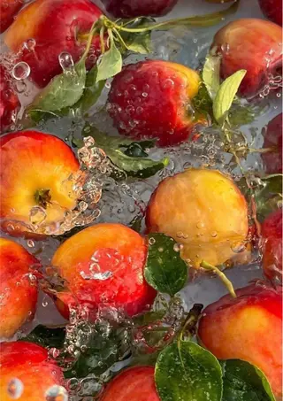 Bless hair &spa所属・🫧縮毛矯正／カラー ／bless松浦🫧のヘアスタイル