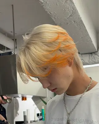 ミディアム メンズ メンズバレイヤージュ 🔥メンズカット🔥のヘアスタイル