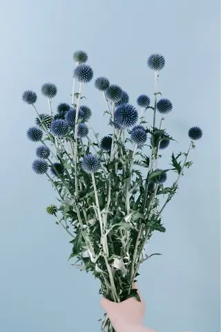 ロング パーマ ✂韓国レイヤー 🦋みやび🪽のヘアスタイル