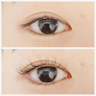 マツエク・マツパ ｍｉｐｐｙ 🪽のマツエク・マツパデザイン