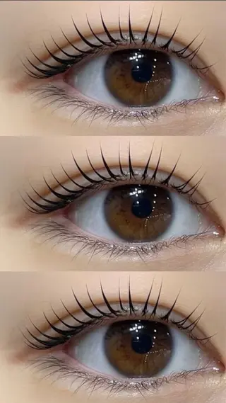 Max eyelash池袋のマツエク・マツパデザイン