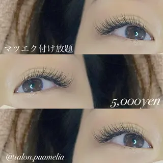 マツエク・マツパ Pua Meliaのマツエク・マツパデザイン