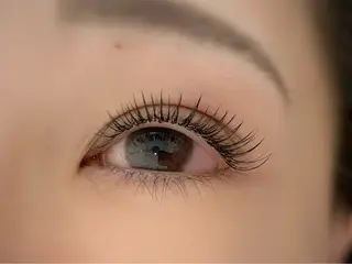 マツエク・マツパ AYLASH石川 韓国風/カラエクのマツエク・マツパデザイン