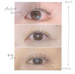 マツエク・マツパ 眉毛×まつげパーマ prima 池袋店所属・ロレインブロウ yuan ୨୧の眉毛・アイブロウイメージ