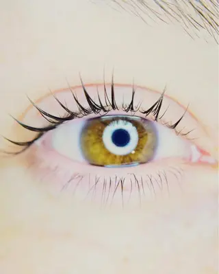 マツエク・マツパ Miel 早良区四箇のマツエク・マツパデザイン