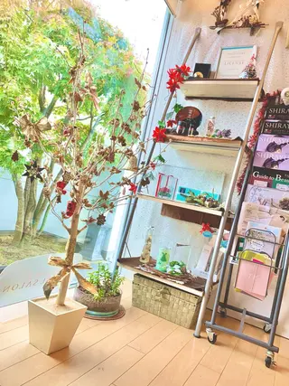 山口 美咲のエステ・リラクイメージ