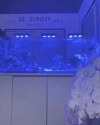 SESUNNY セサニー　SEIRAのマツエク・マツパデザイン