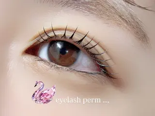 マツエク・マツパ eye 梨花のマツエク・マツパデザイン