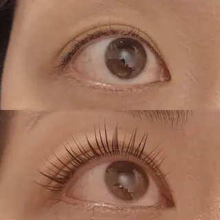 マツエク・マツパ lucolu あこのマツエク・マツパデザイン