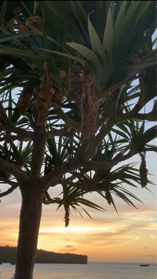 𝐘𝐎𝐒𝐇𝐈 𝐌𝐈🌞🏝のマツエク・マツパデザイン