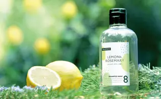 青野 文香のヘアスタイル