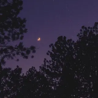 マツエク・マツパ yuki⟡.· freelanceのマツエク・マツパデザイン