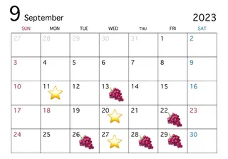 ミディアム カラー 似合わせ美髪ヘア✨ 天王寺.阿倍野🌈のヘアスタイル