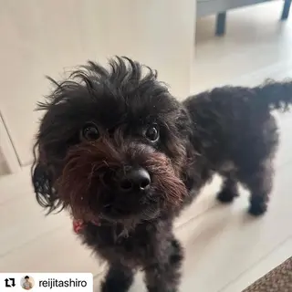 🩷Eny terrace🩷のヘアスタイル