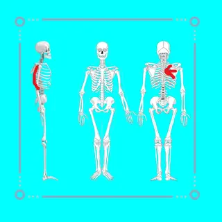 湘南深沢 杉内界喜のエステ・リラクイメージ