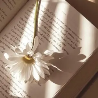 マツエク・マツパ more edge 表参道のマツエク・マツパデザイン