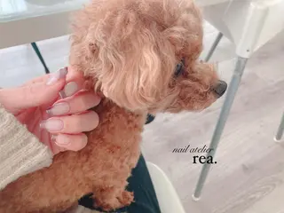 ネイル rea .のネイルデザイン