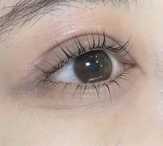 マツエク・マツパ Emil eye roomのマツエク・マツパデザイン