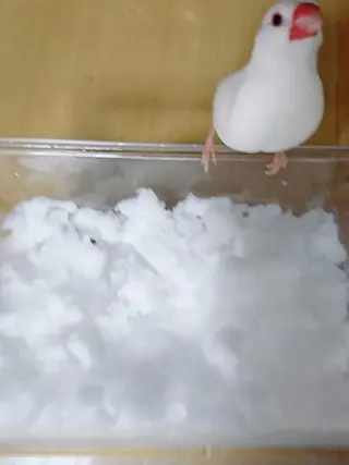 g*rossa高橋 くみこのエステ・リラクイメージ