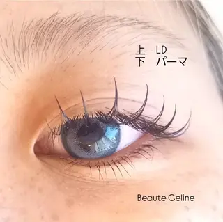 マツエク・マツパ beaute.celine所属・ぱっちりパーマ🤎 ボーテCelineのマツエク・マツパデザイン