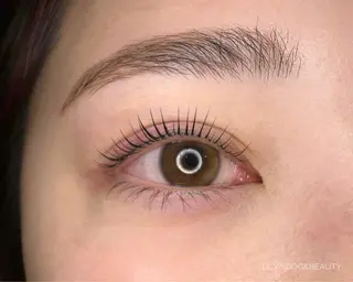 マツエク・マツパ Lily's ®️enaのマツエク・マツパデザイン