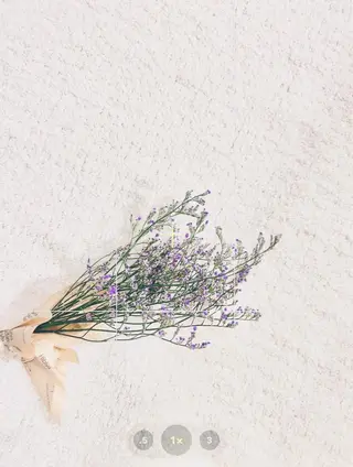 Largo🌿 明治神宮前／表参道のマツエク・マツパデザイン