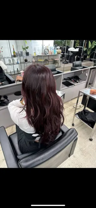 カラー フジイ トワのヘアスタイル