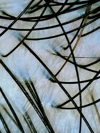 🅖🅤🅩🅔🅛 salonのエステ・リラクイメージ