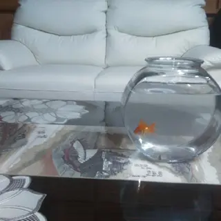 あべ みかのヘアスタイル