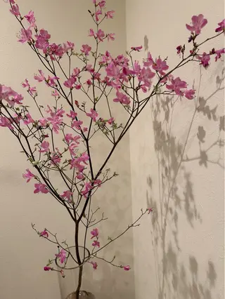 小顔×肌質改善サロン soin〔ソワン〕のエステ・リラクイメージ