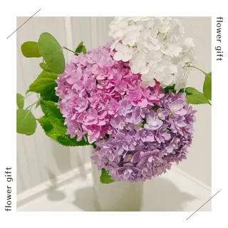 小顔×肌質改善サロン soin〔ソワン〕のエステ・リラクイメージ