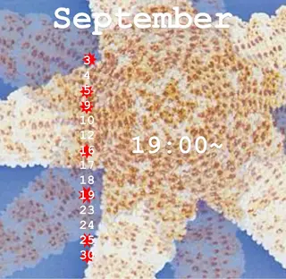 replay所属・野口 心晴のヘアスタイル