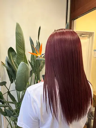 セミロング カラー 🫧艶髪デザイナー 🫧白石航汰のヘアスタイル