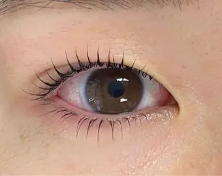 マツエク・マツパ Daisy lash 京橋店堀井のマツエク・マツパデザイン