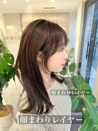 セミロング 韓国風/小顔レイヤー /艶カラーのヘアスタイル